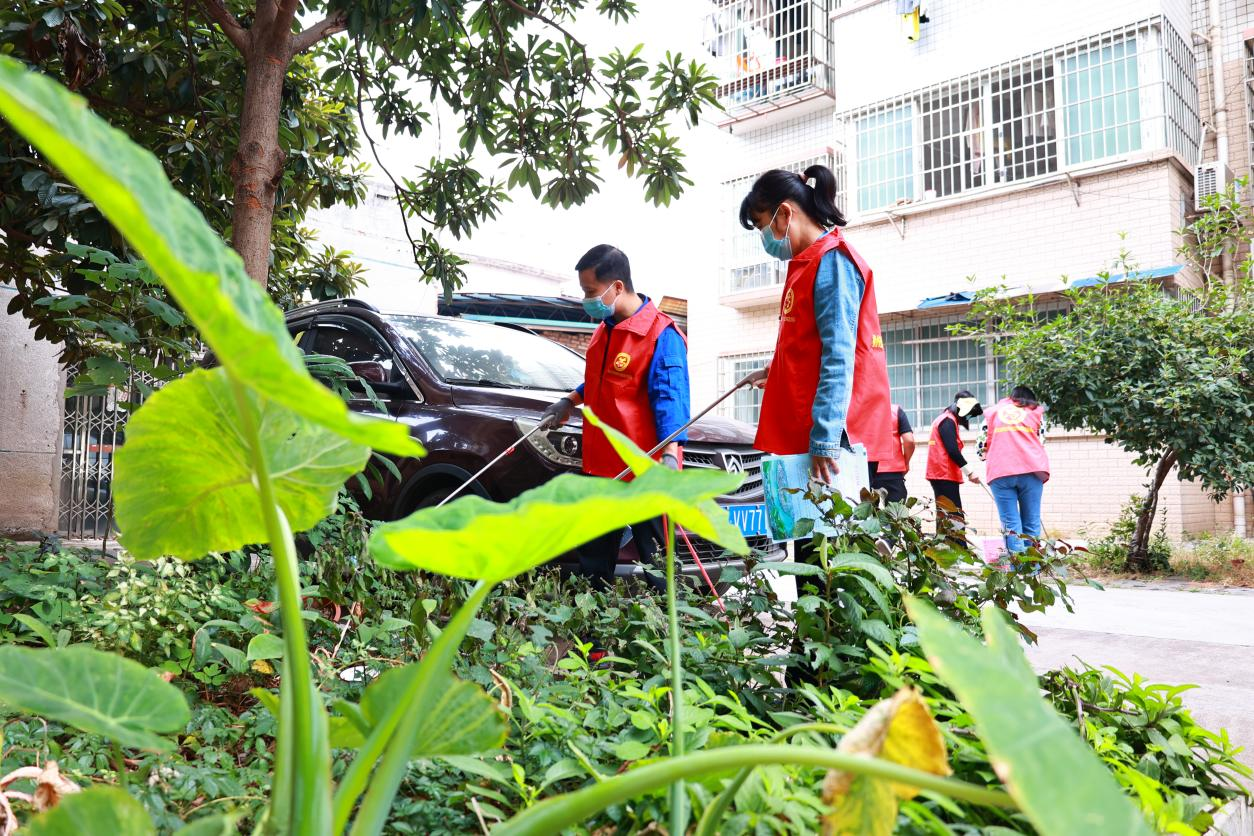 柳州市交通学校党委积极开展培育践行主流价值新时代文明实践系列活动 ——党员志愿者“四联双报到” 参与疫情防控工作