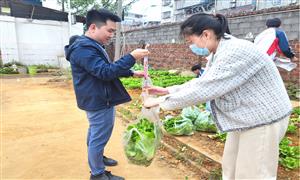 劳动光荣，技能宝贵，创造伟大 ——柳州市交通学校开展直播卖菜活动