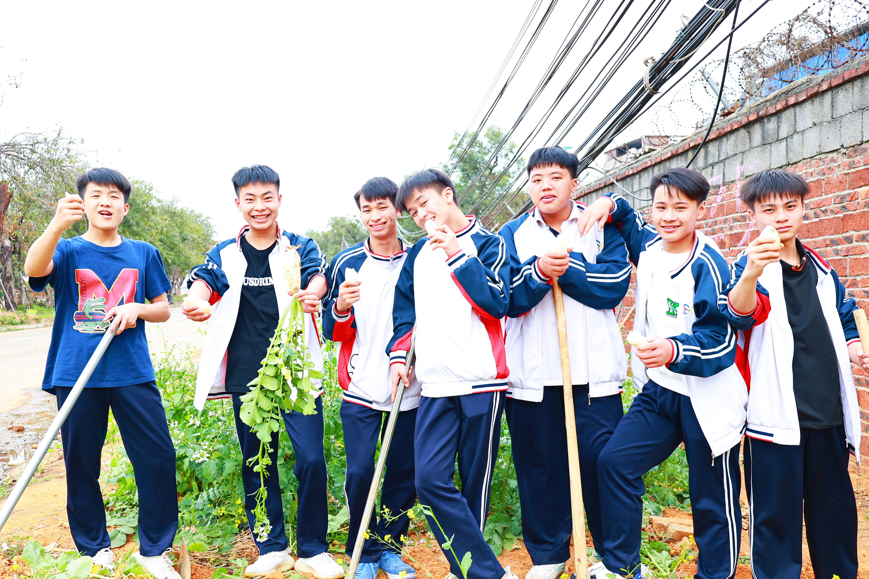  劳动创造幸福--记柳州市交通学校开展劳动教育活动