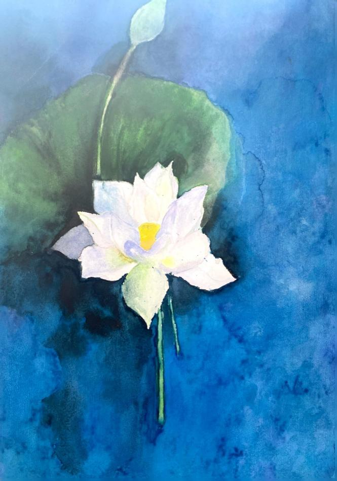 纸上生花·影像之美—妙笔绘“夏荷”