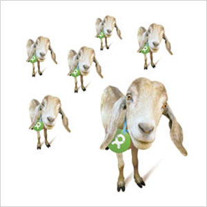 Oxfam America goat tribe