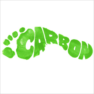 Offset a carbon footprint